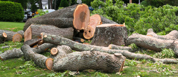 Landscape Design and Installation in Rocky Mount, VA